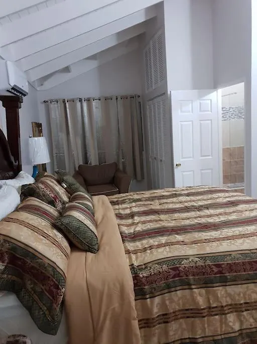 Escape At The Oasis- New Kingston Area -24Hrs Security, Elevator, Water Heater, Wifi Jamajka