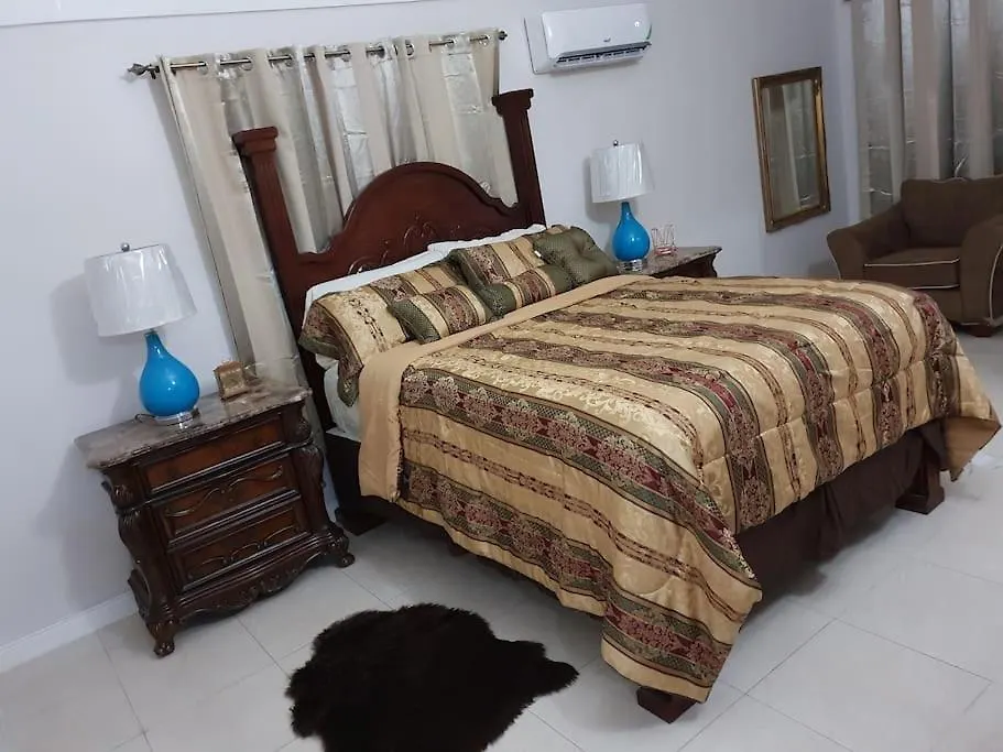 Escape At The Oasis- New Kingston Area -24Hrs Security, Elevator, Water Heater, Wifi Jamajka